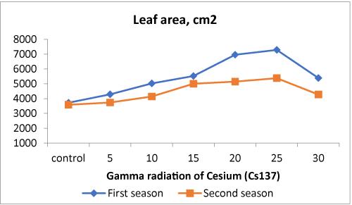 Effect of Gamma Radiation of Cesium (Cs137) on Morphological Changes of Sunflower During Two Seasons