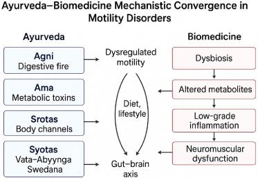 Bridging Ayurveda, Conventional Medicine, and Modern Health Sciences in the Diagnosis and Management of Colorectal Motility Disorders: A Narrative Review