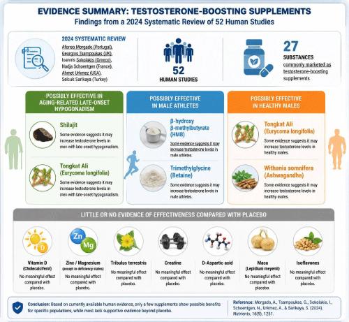 Shilajit in Andrology: Experimental Evidence, Clinical Studies, and Therapeutic Potential for Male Reproductive Health