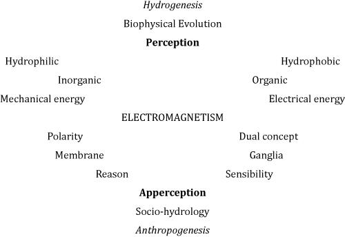 The Hydrozoic Theory