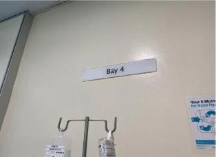 A Night Without Sleep: A Reflection on Vigilance, Care, and the Biological Mind in a Hospital Setting