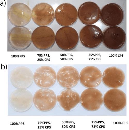 Production of Starch-Based Bioplastic from the Mixture of Potato and Cassava Peel Wastes Starch Using Glycerol as Plasticizers: A Comparison on the Effect of CaCO3 and HCl as Fillers