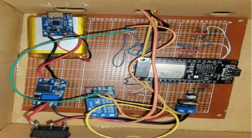 Development of a Scalable Micro-Services IoT Irrigation System (SMIIS) Application for the Growth of Talinum Triangulare