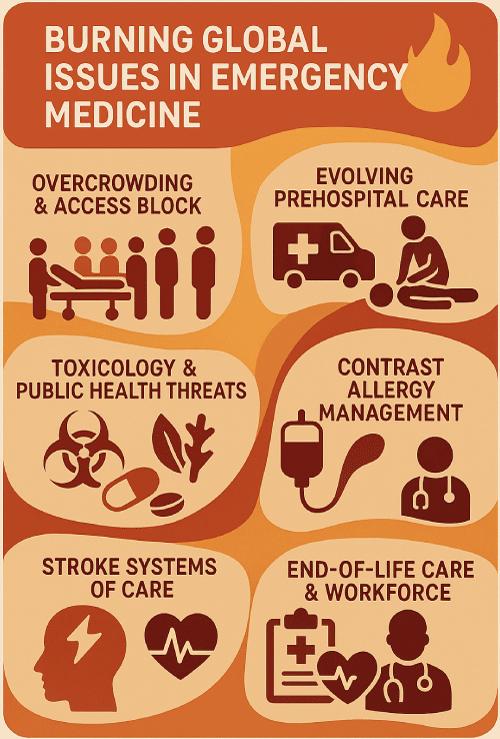 The Burning Global Issues in Emergency Medicine: A Narrative Review