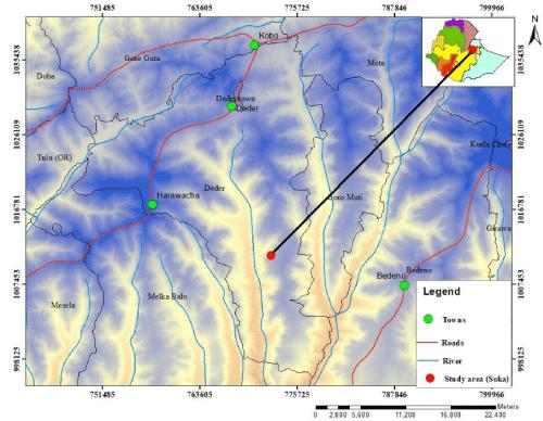 Geology and Mineralogy of Soka Iron Mineralization, Eastern Ethiopia