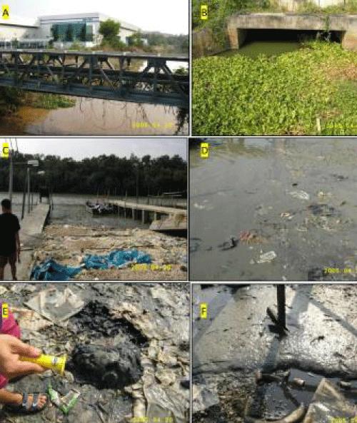 Reflections from the Filthy Mud: Environmental Wisdom and Coastal Pollution in Industrial Corridors