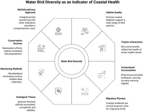 Water Bird Diversity as an Indicator of Coastal Health and Pollution: A Narrative Review with SWOT Perspectives