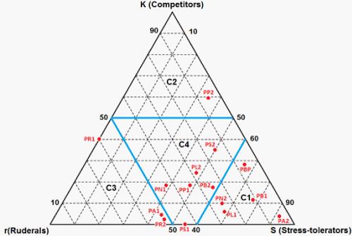 Linking Benthic Condition, Reef Fish Biomass, and Coral Health Index in a Degraded Reef System of the Sembilan Archipelago