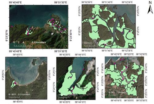 Status of Mangrove Forest Coverage and Species Composition in Northern Langkawi Island, Malaysia