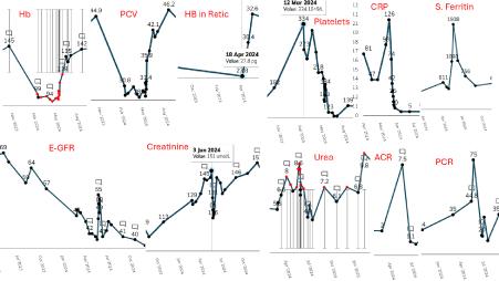 De Novo Infection‑Associated Complement‑Mediated Hemolytic Uremic Syndrome in a Renal Transplant Recipient: A Complex Diagnostic Journey