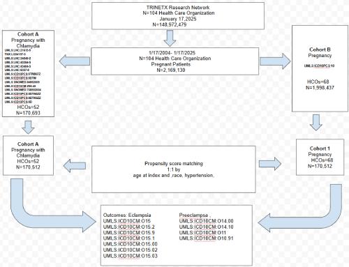 Chlamydia Trachomatis and the Development of Preeclampsia in Pregnancy