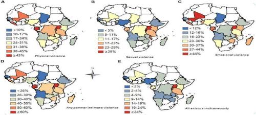 Dual Epidemics: Intimate Partner Violence and HIV in Sub-Saharan African Women