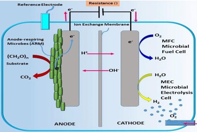 Transformative Approaches to Elevate Hydrogen Production and Efficiency, Surpassing Microalgae-Bacterial Consortium (MABC) Technologies- A Review