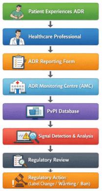 Adverse Drug Reaction Monitoring of Semaglutide in India: Impact of Expanding Formulations and Generic Market Entry