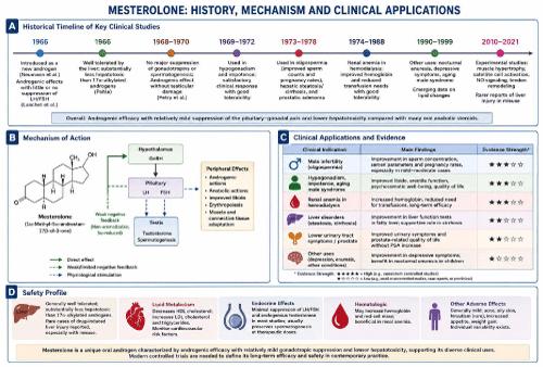 Mesterolone: Historical Perspectives, Clinical Applications, and Emerging Experimental Evidence