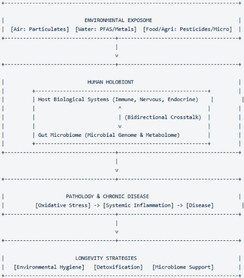 The Environmental Exposome: Toxicity of Air, Water, Food, and Agricultural Pollutants and Emerging Strategies for Detoxification, Holobiotics, Environmental Hygiene, and Healthy Longevity