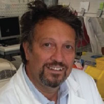 Prof. Massimo Zollo, Ph.D. image is not found.