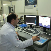 Prof. Mario Guimarães Junior, Ph.D. image is not found.